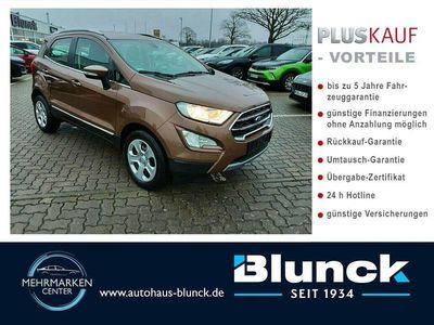 Gebraucht Ford Ecosport Titanium 101 PS (74 kW) 2018 Canyonbraun (metallic) SUV