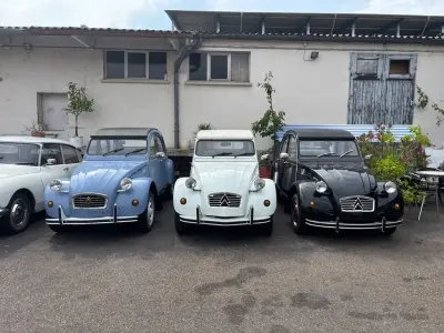 Gebraucht Citroën 2CV 29 PS (21 kW) 1985 Limousine