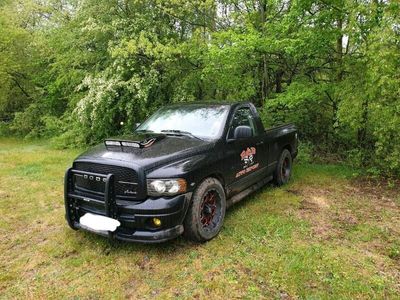 gebraucht Dodge Ram 5.7 Hemi Single Cab Rumble Bee (kein SRT10)