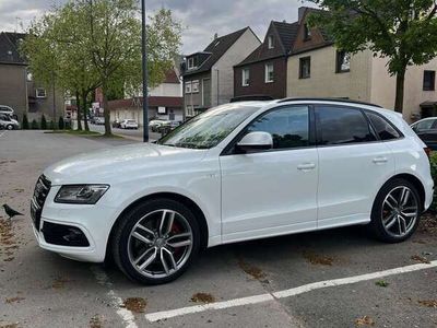 gebraucht Audi SQ5 3.0 TDI competition tiptronic quattro -