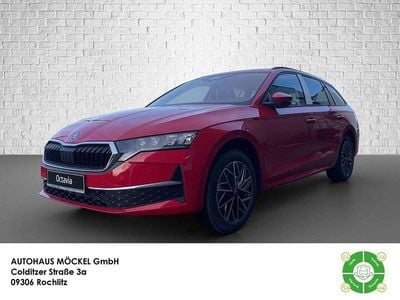 Velvetrot metallic Neu 2025 Skoda Octavia Kombi | 33.500 € (Fairer Preis)