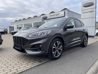 Gebraucht Ford Kuga ST-Line 190 PS (139 kW) 2020 Grau SUV