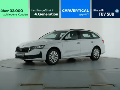 Gebraucht Skoda Octavia Essence 116 PS (85 kW) 2025 Moonweiss metallic Kombi