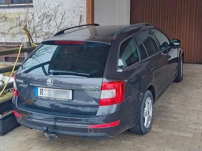 Violet Gebraucht 2014 Skoda Octavia Ambition Kombi | 9.999 € (Guter Preis)