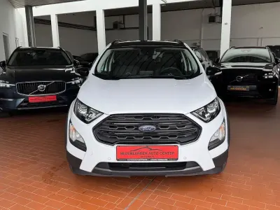 Gebraucht Ford Ecosport Active 140 PS (102 kW) 2021 Weiß SUV