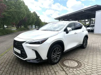 Gebraucht Lexus NX350h Business Edition 243 PS (178 kW) 2024 Weiß SUV