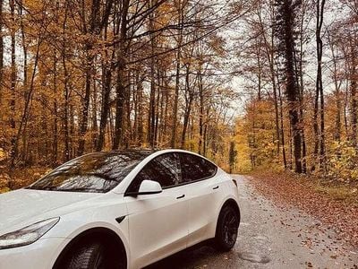 Gebraucht Tesla Model Y Long Range RWD 219 kW (299 PS) 2025 SUV
