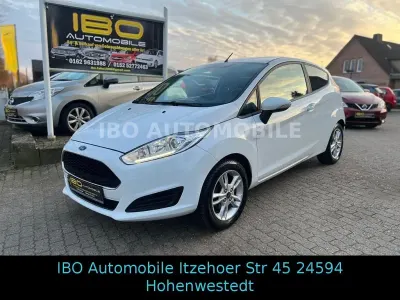 Gebraucht Ford Fiesta Trend 60 PS (44 kW) 2016 Weiß Kleinwagen