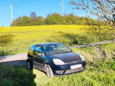 Używany Ford Fiesta 60 KM (44 kW) 2005 Niebieski Hatchback