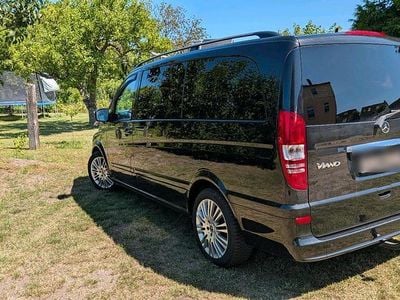 Mercedes Viano