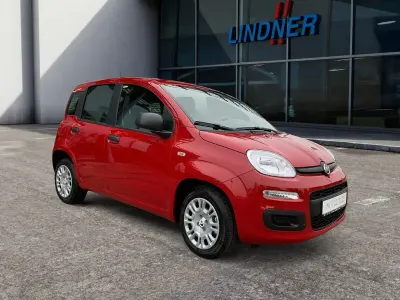 Neu Fiat Panda Icon 65 PS (47 kW) 2026 Rot Kleinwagen