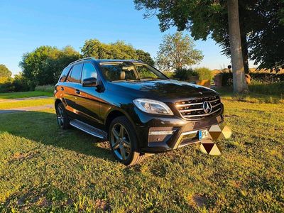 Mercedes ML250