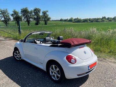 VW Beetle