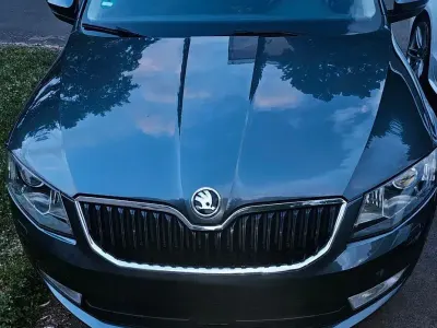 Gebraucht Skoda Octavia 150 PS (110 kW) 2016 Grau Kombi