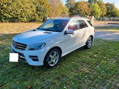 Gebraucht Mercedes ML250 204 PS (150 kW) 2013 Weiß SUV