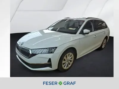 Gebraucht Skoda Octavia Selection 150 PS (110 kW) 2025 Moonweiss metallic Limousine