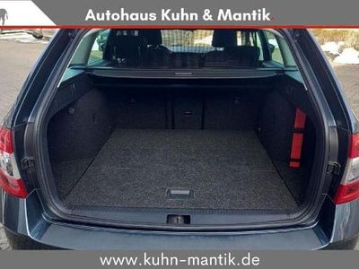 Gebraucht Skoda Octavia Style 116 PS (85 kW) 2018 Quarzgrau metallic Kombi