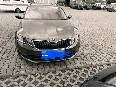 Gebraucht Skoda Octavia 190 PS (139 kW) 2026 Braun Kombi