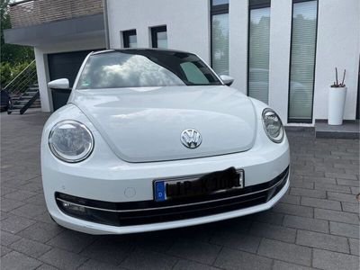 VW Beetle