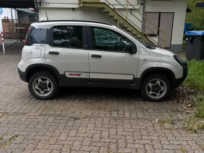 Occasion Fiat Panda 85 ch (62 kW) 2024 Beige Citadine