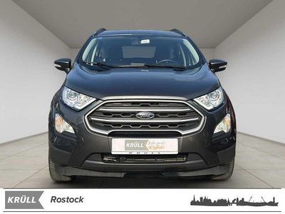 Usata Ford Ecosport Cool & Connect 101 CV (74 kW) 2019 Grigio SUV