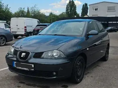 Gebraucht Seat Ibiza 75 PS (55 kW) 2006 Grau Kleinwagen