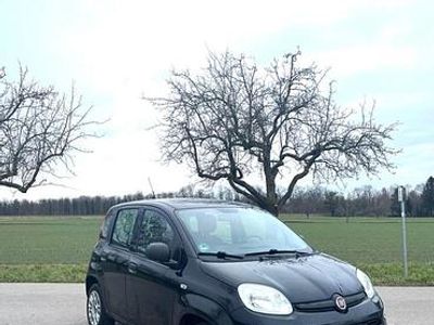 Gebraucht Fiat Panda 69 PS (50 kW) 2019 Schwarz Kleinwagen