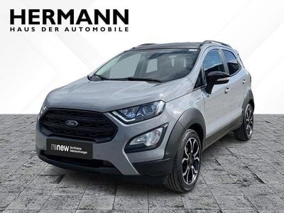 Usata Ford Ecosport Active 125 CV (91 kW) 2021 Grigio SUV