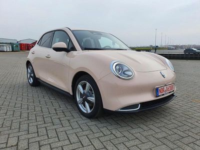 Gebraucht Ora 03 125 kW (171 PS) 2023 Beige Kleinwagen