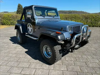 Usata Jeep Wrangler 1993 Blu SUV