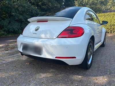 VW Beetle