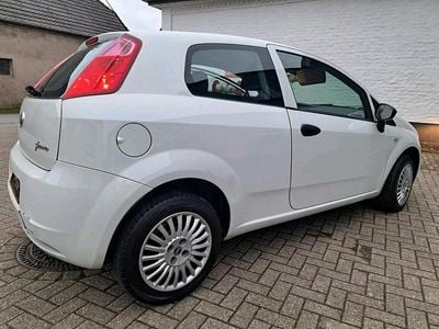 Gebraucht Fiat Punto 69 PS (50 kW) 2012 Weiß Kleinwagen