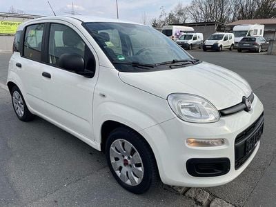 Gebraucht Fiat Panda 69 PS (50 kW) 2013 Weiß Kleinwagen