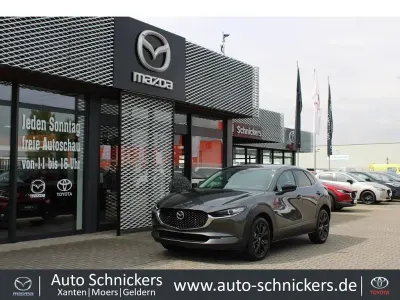 Gebraucht Mazda CX-30 Homura-Line 140 PS (102 kW) 2024 Machine gray SUV