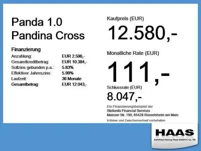 Gebraucht Fiat Panda Cross Cross 69 PS (50 kW) 2025 Schwarz Kleinwagen