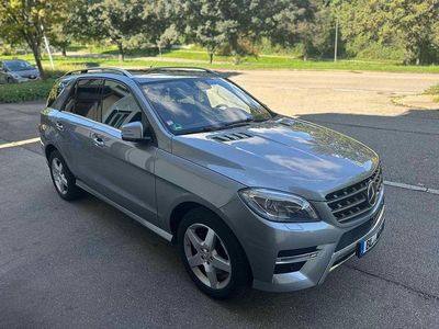 Silber Gebraucht 2014 Mercedes ML350 SUV | 23.900 € (Etwas zu teuer)