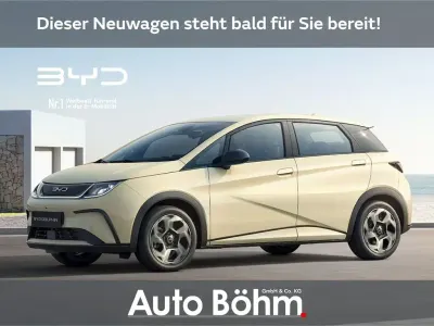 Gebraucht BYD Dolphin