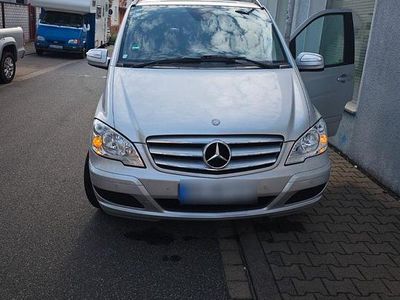 Mercedes Viano