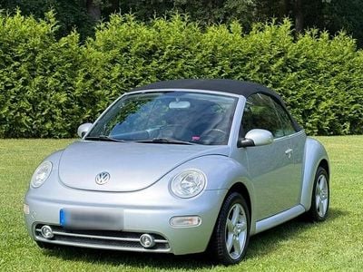 VW Beetle