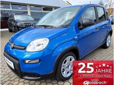 gebraucht Fiat Panda Hybrid 1.0 *Komfort-Paket*