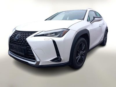 Gebraucht Lexus UX Launch Edition 184 PS (135 kW) 2019 Sonic white SUV
