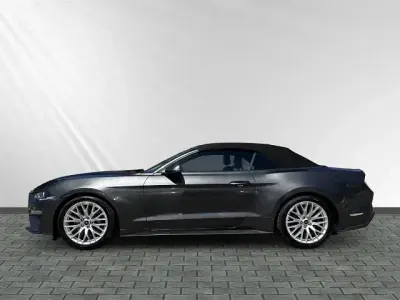 Gebraucht Ford Mustang Convertible 290 PS (213 kW) 2019 Grau Cabrio