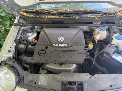 VW Lupo