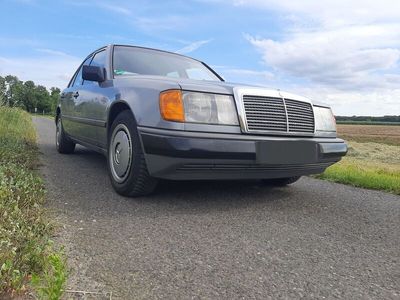 gebraucht Mercedes E260 