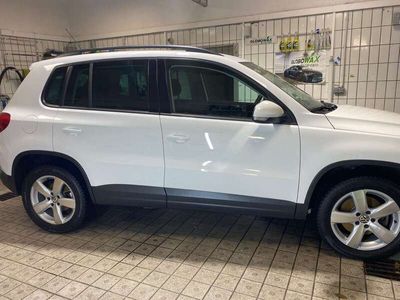 gebraucht VW Tiguan 2.0 TSI 4Motion Freestyle