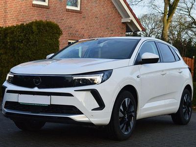 Gebraucht Opel Grandland X Elegance 131 PS (96 kW) 2022 Weiß SUV
