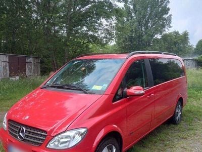 Mercedes Viano