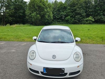 VW Beetle