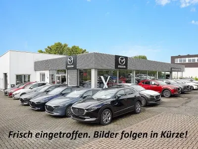 Gebraucht Mazda CX-30 Selection 179 PS (131 kW) 2020 Machine grey SUV