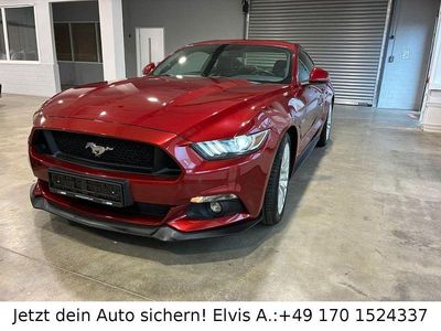 Usata Ford Mustang GT Fastback 421 CV (309 kW) 2016 Rosso